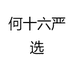 何十六严选