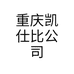 重庆凯仕比公司