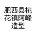 肥西县桃花镇阿峰造型理发店的小店