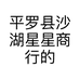 平罗县沙湖星星商行的小店