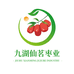九湖仙茗枣业