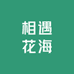 相遇花海