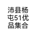 沛县杨屯51优品集合店个体店
