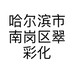 哈尔滨市南岗区翠彩化妆品小店个体店